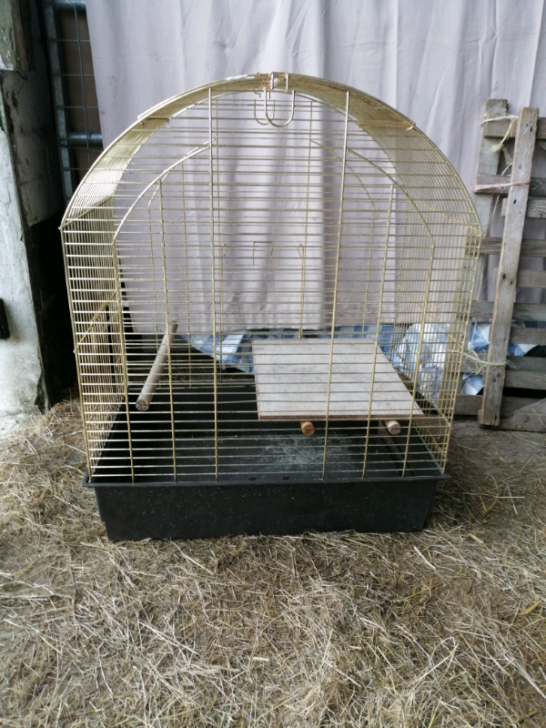 Gumtree parrot cage sale