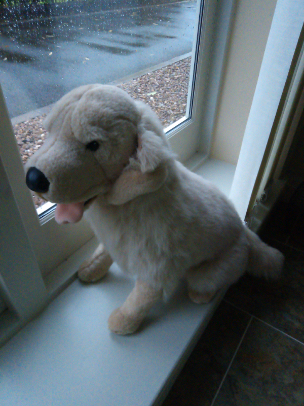 Labrador fur toy display 