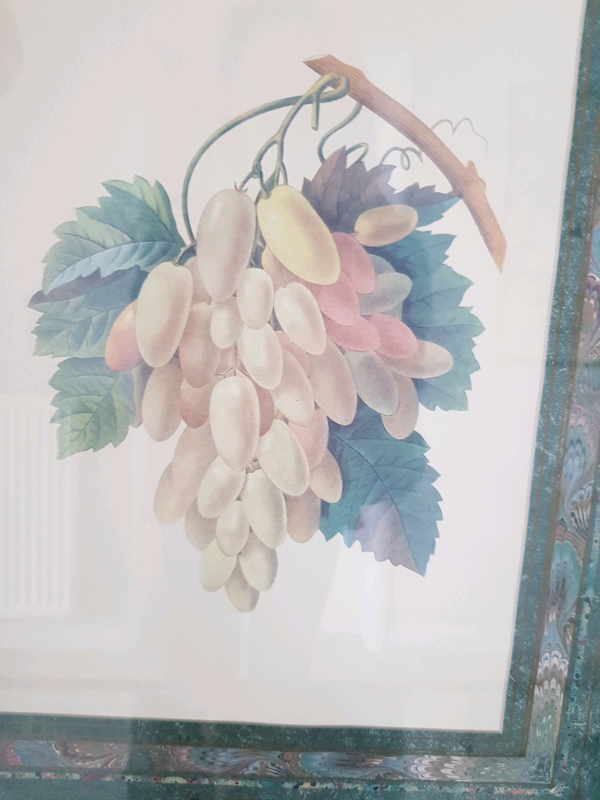 Large pair of framed antique prints of fruit