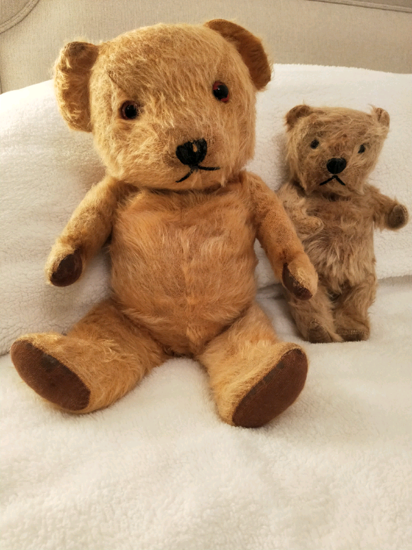 image for Teddy Bears by Pedigree.