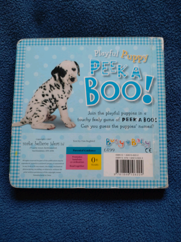 Playful Puppy Peek A Boo Book