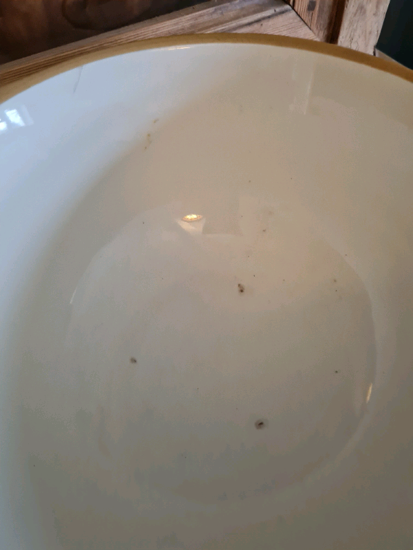 A Vintage 1950's 'Gripstand' T.G. Green Mixing Bowl