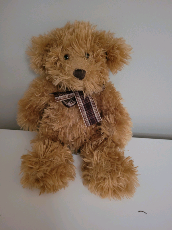 Teddy Bear soft Plush Toy. 