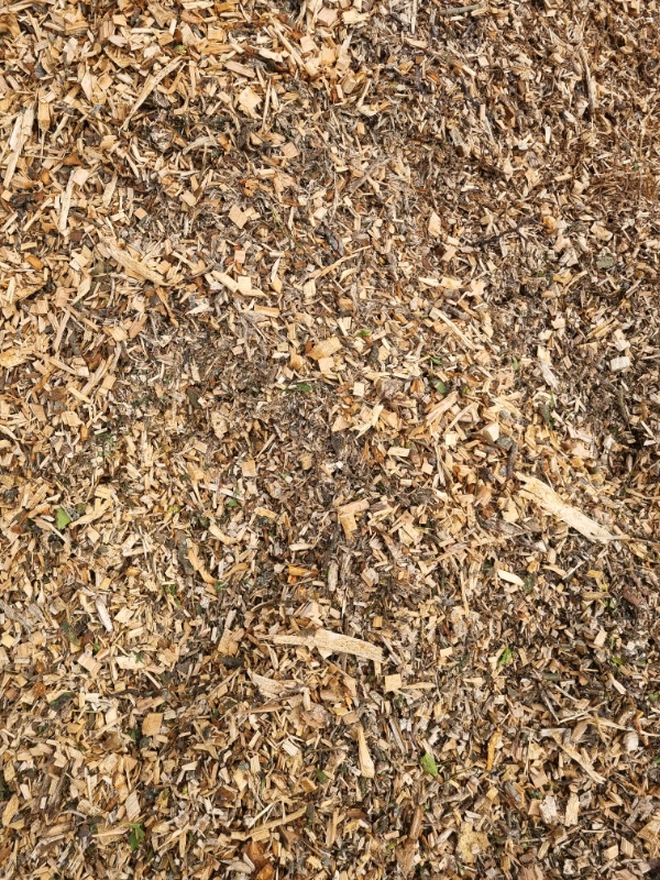 image for Wood Chippings Natural Chipped (Locally Soarced)