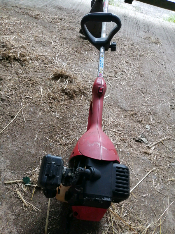 Champion strimmer