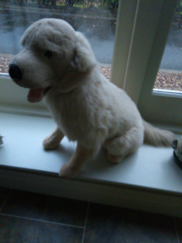 image for Labrador fur toy display 
