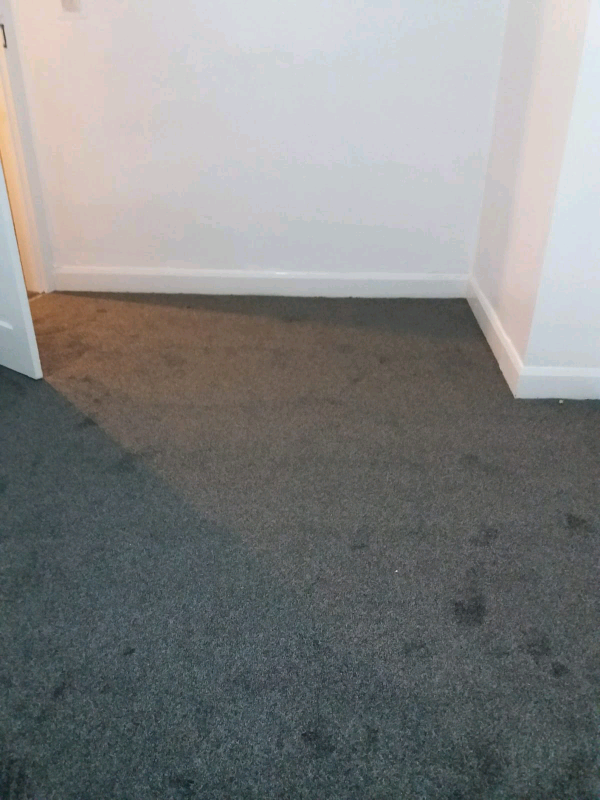 💥DUBLIN TWIST CARPET ON OFFER £4.50 A SQ YD (£5.40 A SQ METER) 2 ROLL