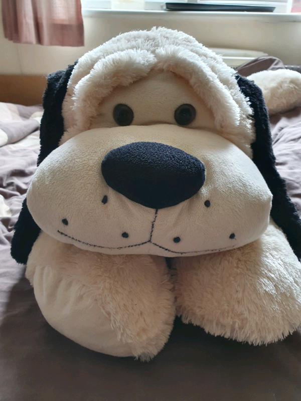 BIG DOG TEDDY