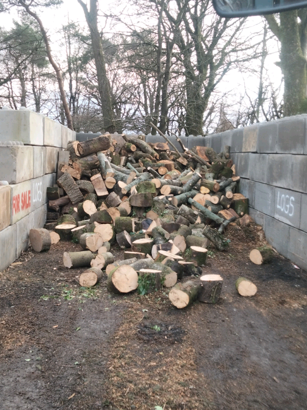 Unprocessed Logs & Firewood