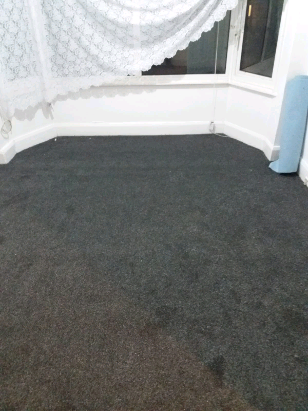 💥DUBLIN TWIST CARPET ON OFFER £4.50 A SQ YD (£5.40 A SQ METER) 2 ROLL