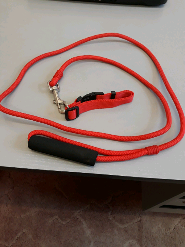 image for Dog collar and lead 