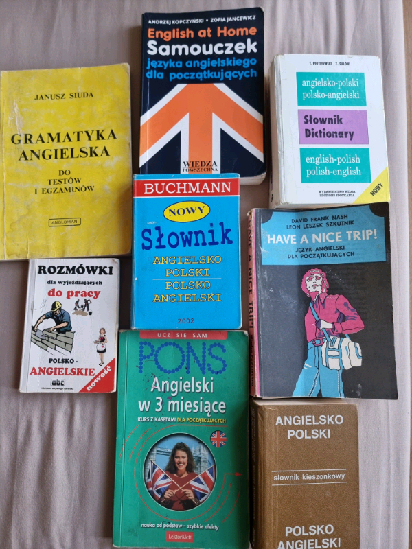 image for Polish-English dictionaries