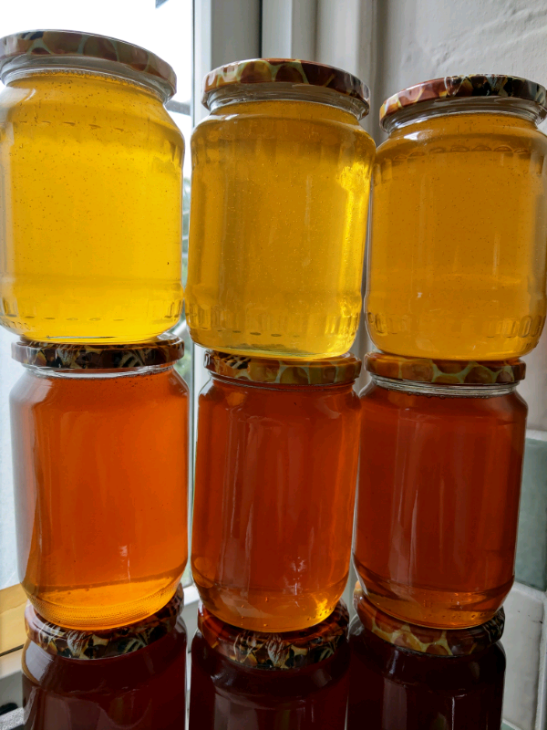 Pure raw organic homemade honey 