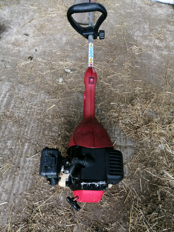 Champion strimmer