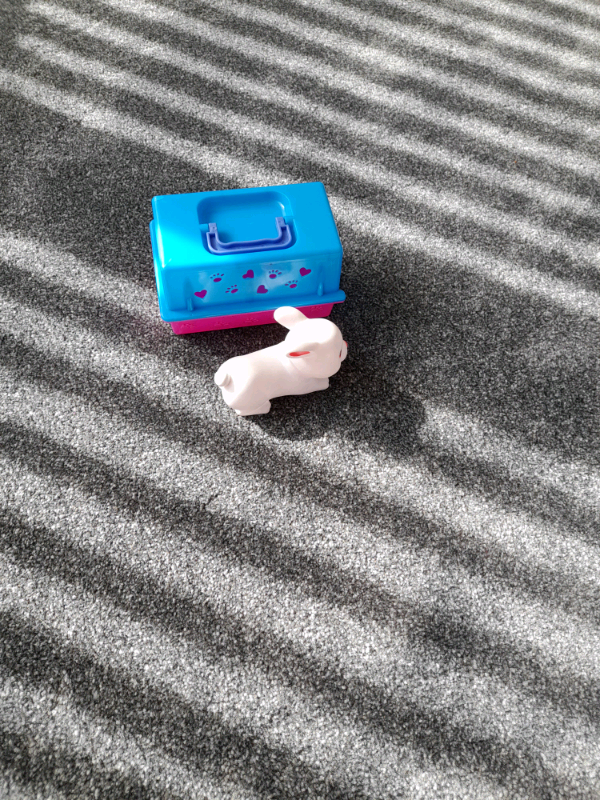 image for Rabbit with cage  toys 