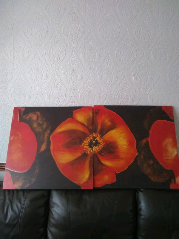 image for 2 poppy canvases