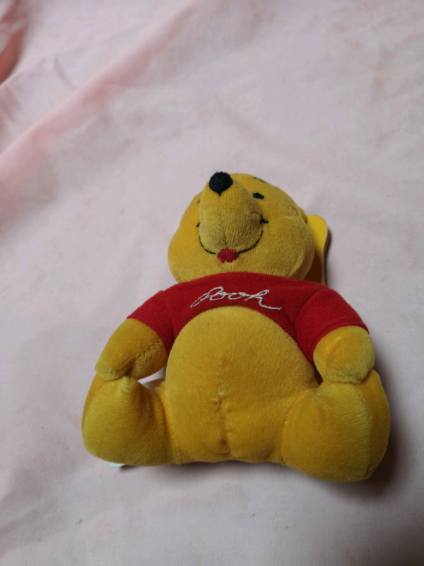 image for Winnie the pooh teddy with book (brand new).