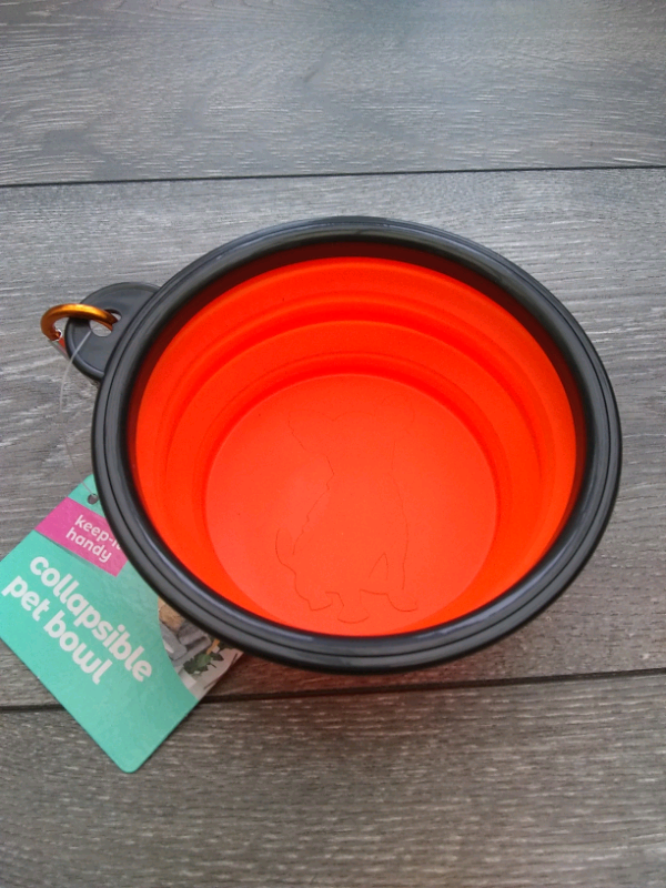 Collapsible bowl