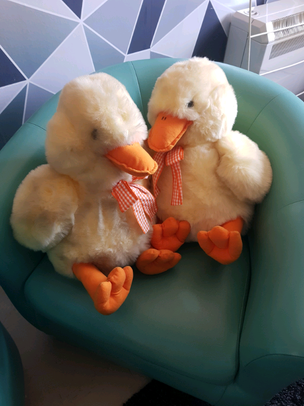 image for Duck teddy bears (40cm)