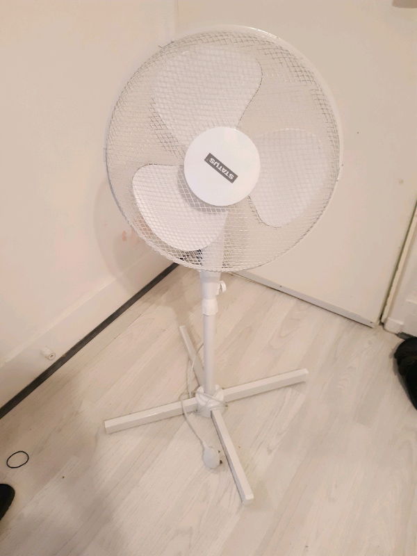 White fan 