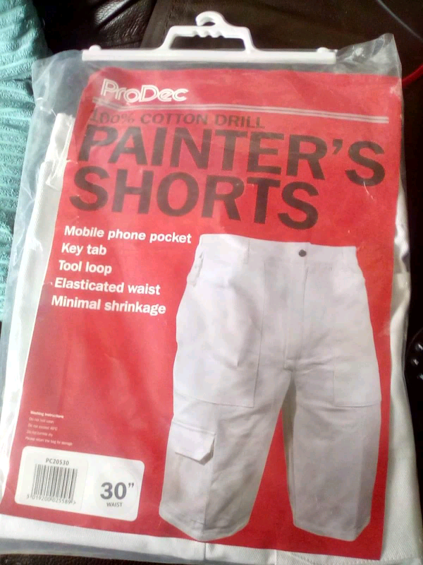 image for Painters shorts