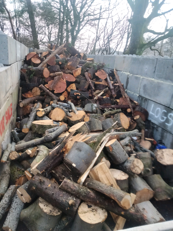 Unprocessed Logs & Firewood