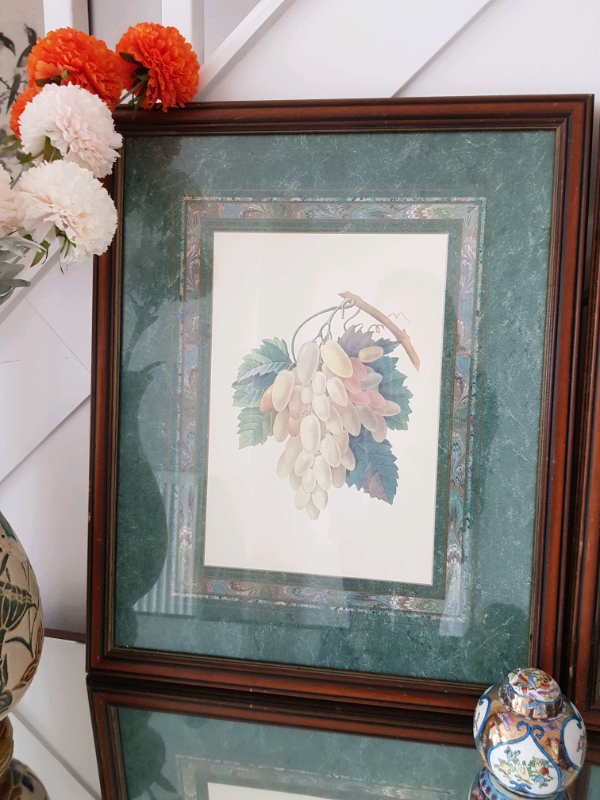 Large pair of framed antique prints of fruit
