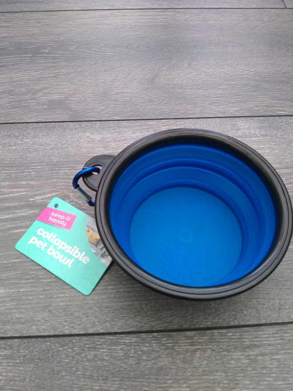 Collapsible bowl