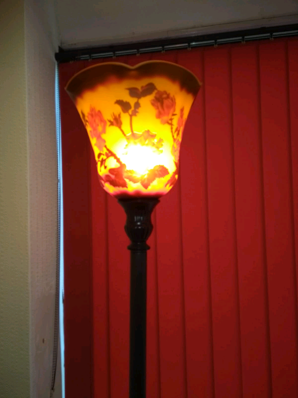 image for Tiffany Lamp  Floor Lamp 