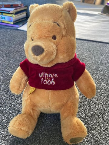 Winnie the pooh store 80th anniversary bear