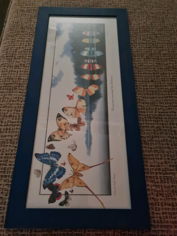 image for Framed picture butterflies / sailboats