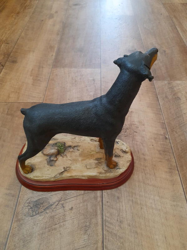 Doberman dog standing A3036