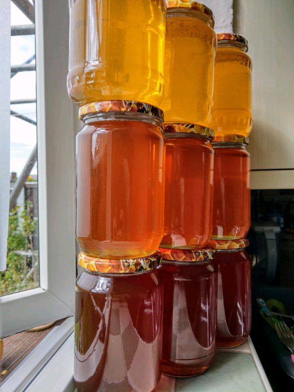 Pure raw organic homemade honey 