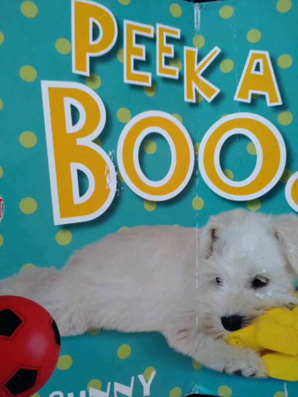 Playful Puppy Peek A Boo Book