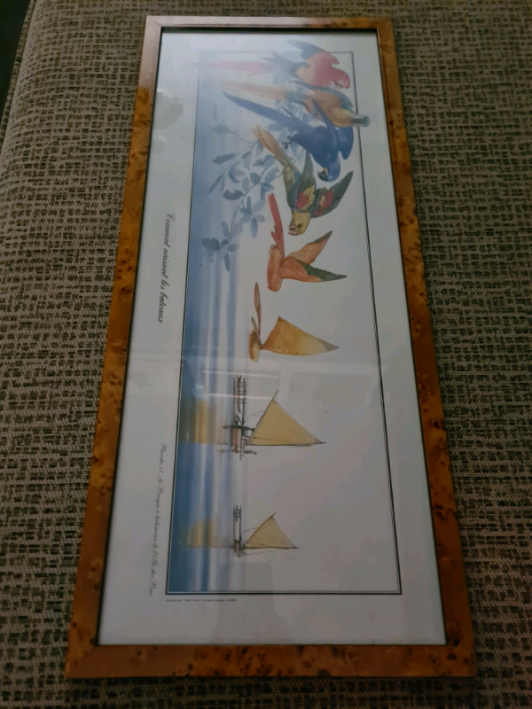 Framed picture 