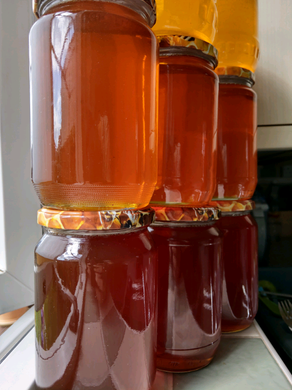 Pure raw organic homemade honey 