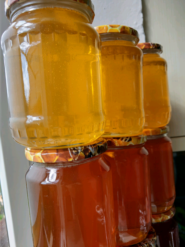 Pure raw organic homemade honey 