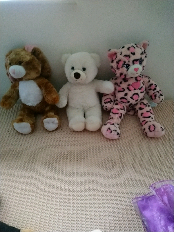 image for Build a bear 