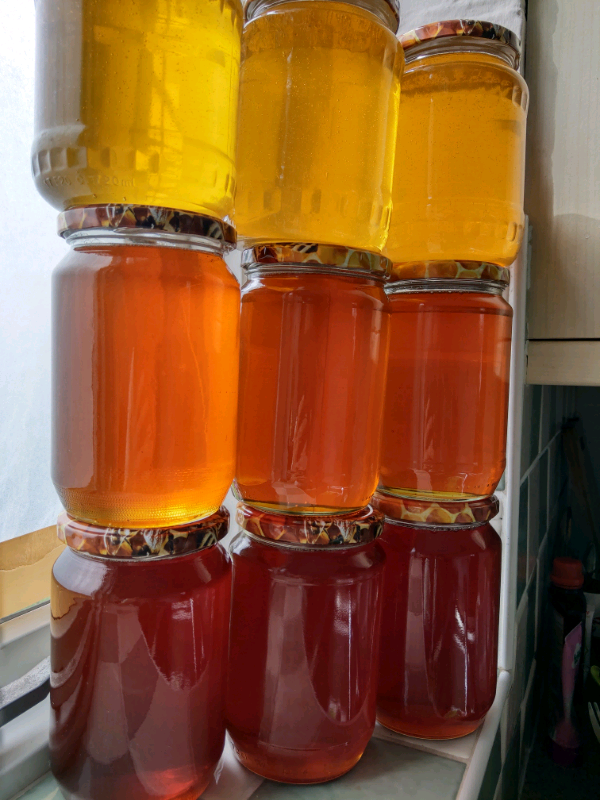 Pure raw organic homemade honey 