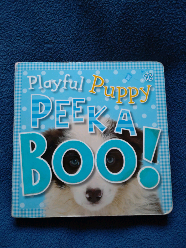 Playful Puppy Peek A Boo Book