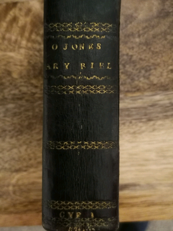 image for 1838 Welsh Bible
