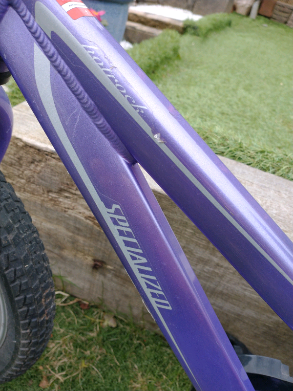 Child's Specialized Bicycle