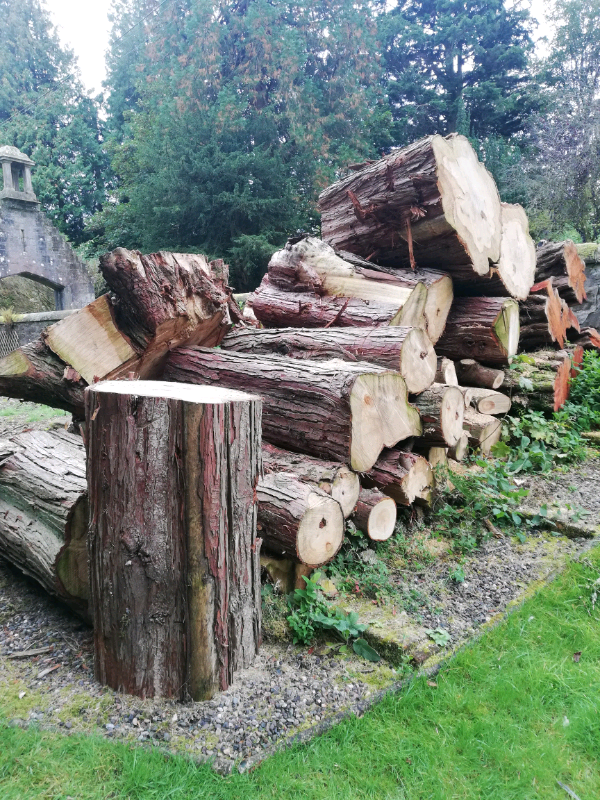 image for Logs logs logs logs logs logs logs logs logs logs logs logs 