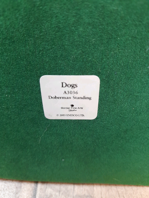 Doberman dog standing A3036