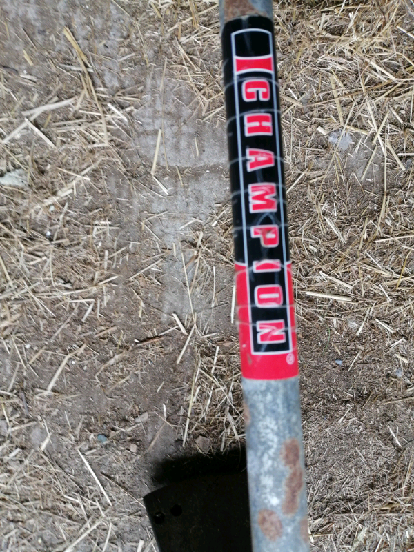 Champion strimmer
