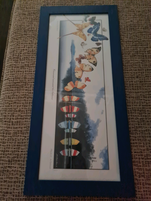 Framed picture butterflies / sailboats
