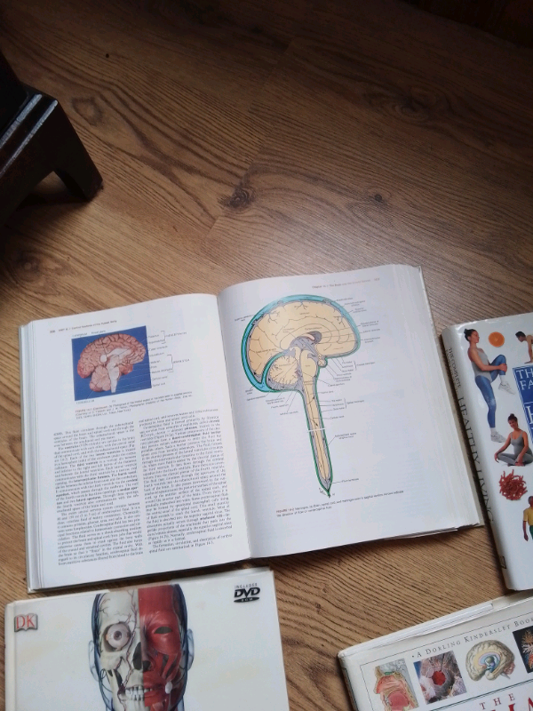 LIKE NEW, ANATOMY BOOKS ,offers