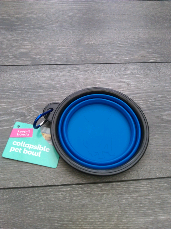 Collapsible bowl