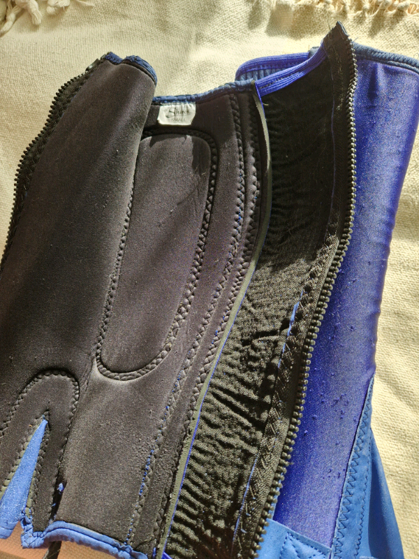 Shires Blue Half Chaps