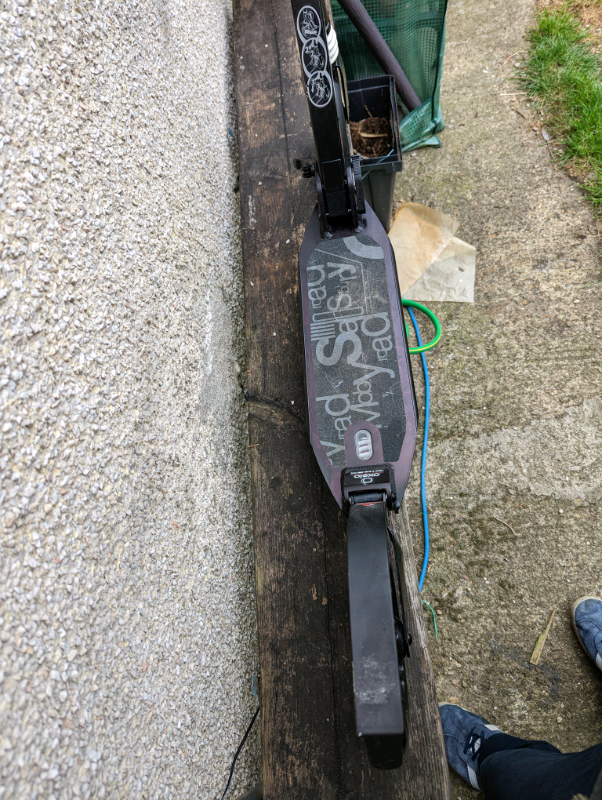 Adult scooter
